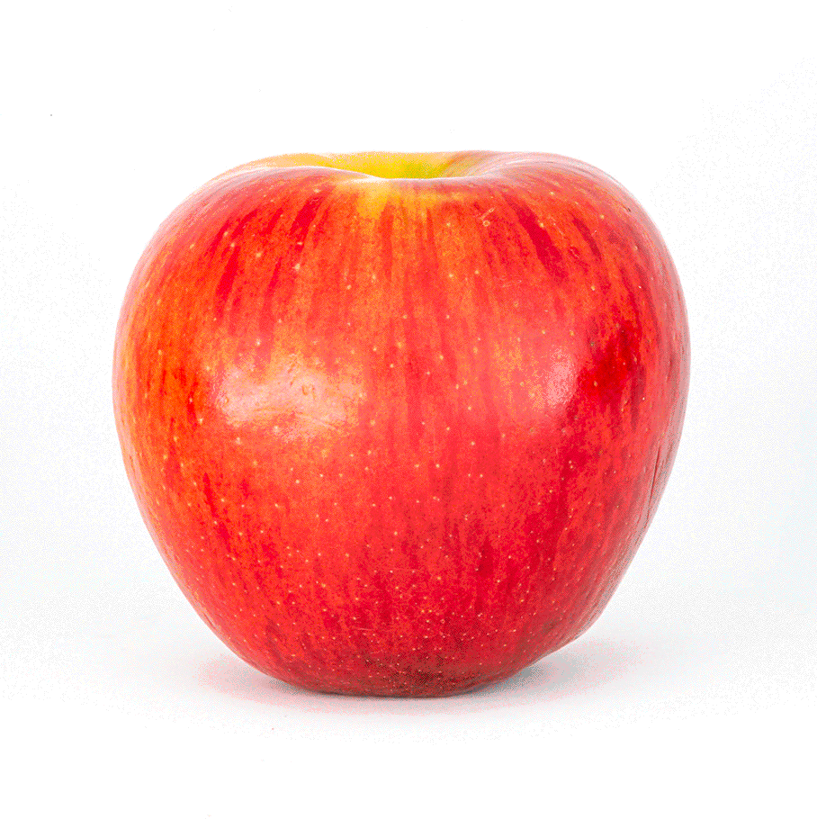 Praxismarketing Frankfurt